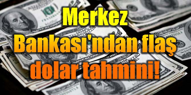 Merkez Bankası'ndan flaş dolar tahmini!