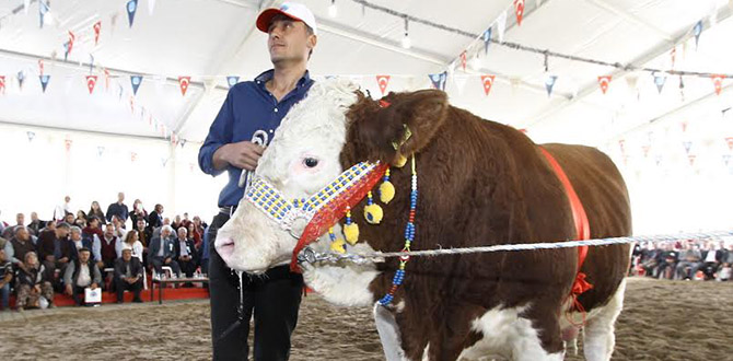 Burdur güzelleri podyuma çıkacak