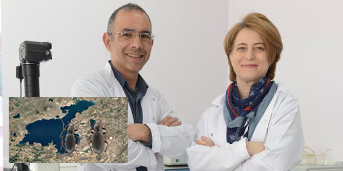 Keşfedilen Böceğe 'Ege Üniversitesi' İsmi Verildi