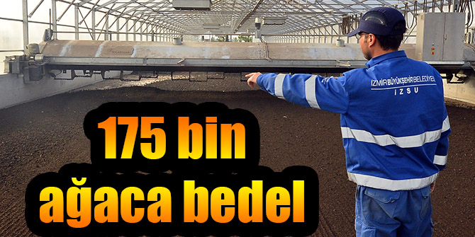 175 bin ağaca bedel