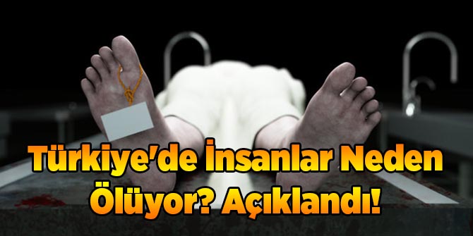 Türkiye'de İnsanlar Neden Ölüyor? Açıklandı!