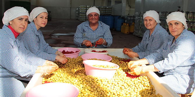 Türkiye'de Zeytin ve Zeytinyağı Kullanımını Artıracak