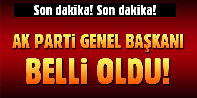 AK Parti'nin yeni genel başkanı Cumhurbaşkanı Erdoğan oldu