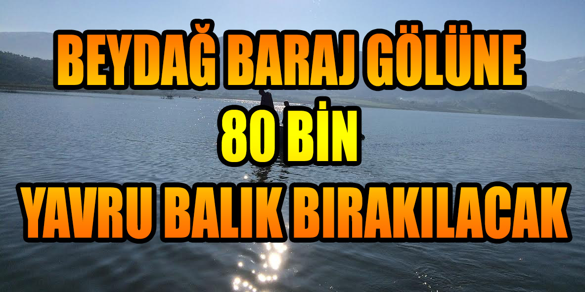 BEYDAĞ BARAJ GÖLÜNE 80 BİN YAVRU BALIK BIRAKILACAK
