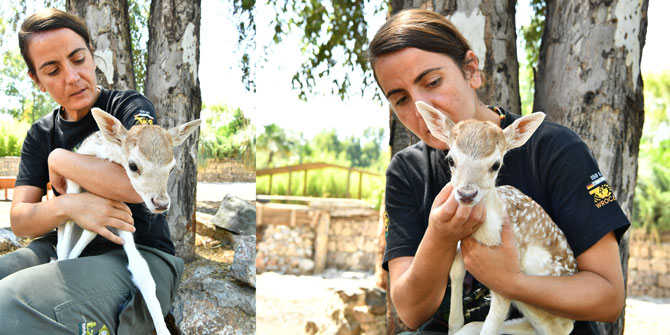 "Nazlı" parkın gözdesi oldu