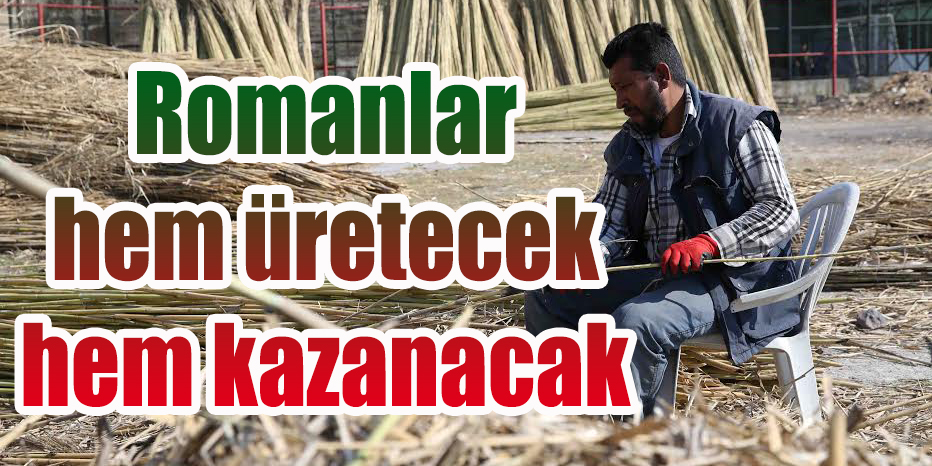 Romanlar hem üretecek hem kazanacak