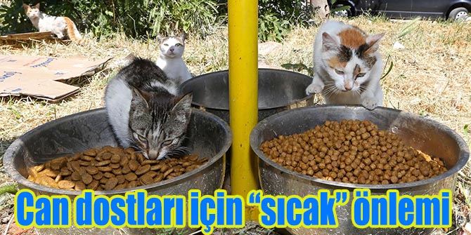 Buca Belediyesi beslenme odaklarının sayısını arttırdı