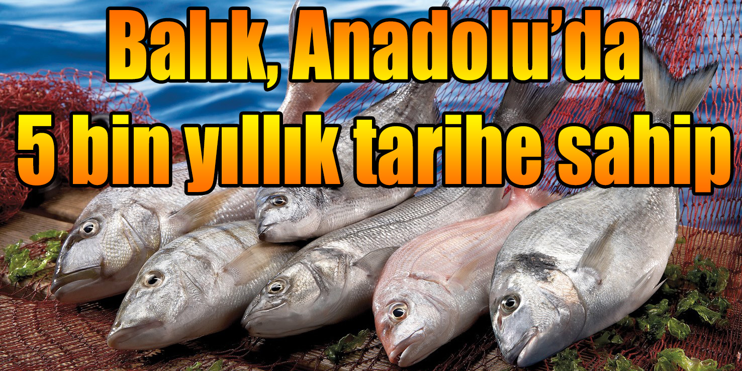 Balık, Anadolu’da 5 bin yıllık tarihe sahip