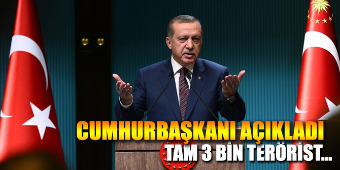 Cumhurbaşkanı açıkladı: Tam 3 bin terörist...