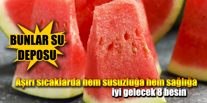 Aşırı sıcaklarda hem susuzluğa hem sağlığa…