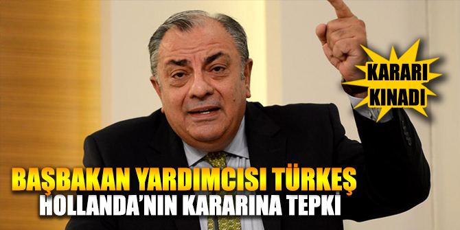 Başbakan Yardımcısı Türkeş, Hollanda'nın kararına tepki gösterdi.
