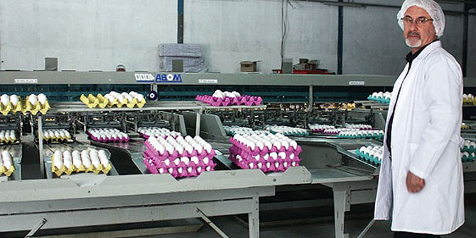 Foça Ekiz Yumurta Doğal Yumurta Üretimine Önem Veriyor