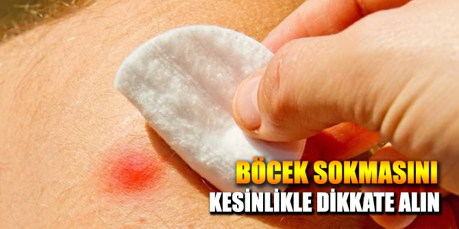 Böcek Sokmasını Hafife Almayın