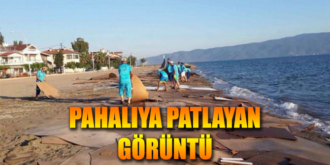 Denize Dökülen Suntaların Temizliği Pahalıya Patladı