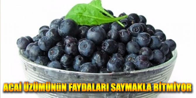 Acai Üzümünün Faydaları Saymakla Bitmiyor
