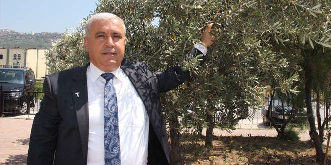 Zeytincilik sektörü Gemlik'te buluştu