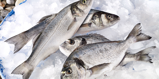 Egeli ihracatçılar 105 ülkeye ihracatını arttırdı