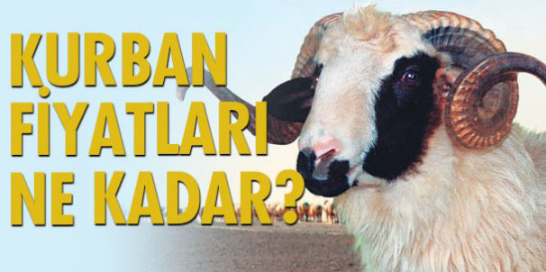 Kurban fiyatları  bu yıl el yakmayacak