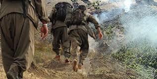 1 PKK'lı etkisiz hale getirildi