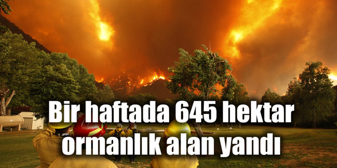 Son bir haftada 645 hektar ormanlık alan yandı