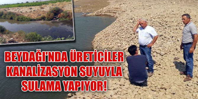 Beydağı'nda üreticiler kanalizasyon suyuyla sulama yapıyor