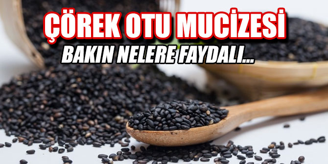 Çörek otu mucizesi