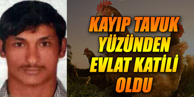 Kayıp tavuk yüzünden evlat katili oldu