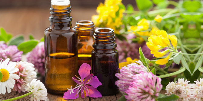Türkiye'nin İlk ve Tek Tıbbi ve Aromatik Bitkiler Kütüphanesi Açıldı