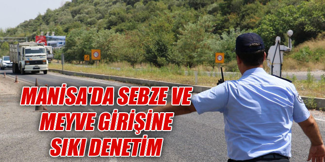 Manisa'da Sebze ve Meyve Girişine Sıkı Denetim