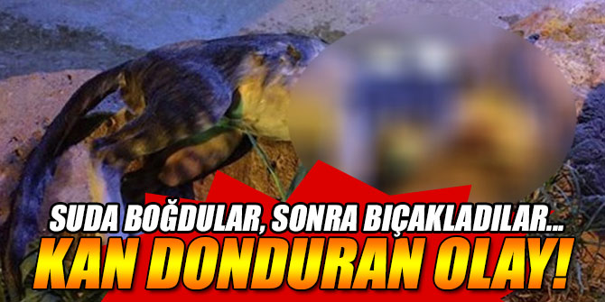 Kan donduran olay