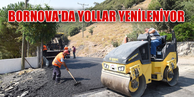 Bornova'da yollar yenileniyor