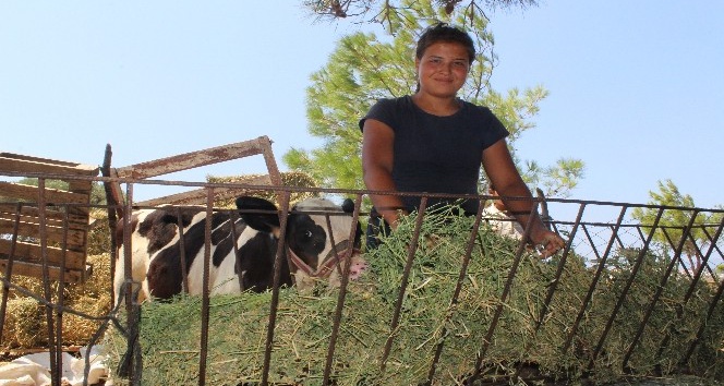 Heidi veteriner olmak istiyor