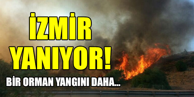 İzmir'de bir orman yangını daha!
