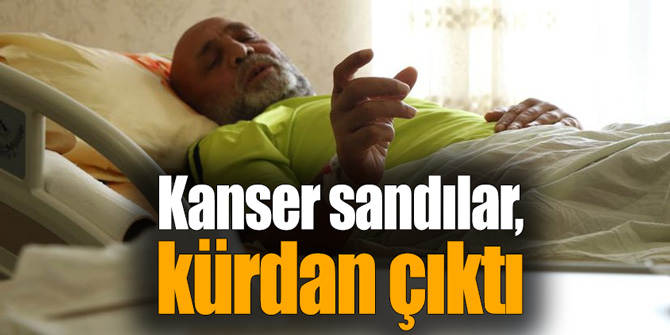Kanser sandılar, kürdan çıktı
