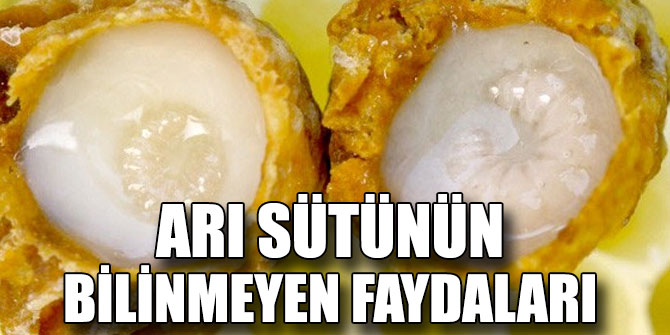 Arı sütünün faydaları