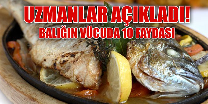 Uzmanlar açıkladı! Balığın vücuda 10 faydası