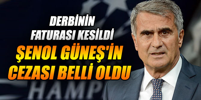 Şenol Güneş'in cezası belli oldu
