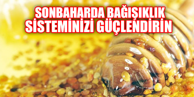 Bağışıklık sisteminizi güçlendirin