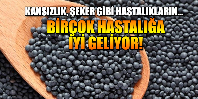 Birçok hastalığa iyi geliyor!
