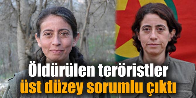 Öldürülen teröristler üst düzey sorumlu çıktı