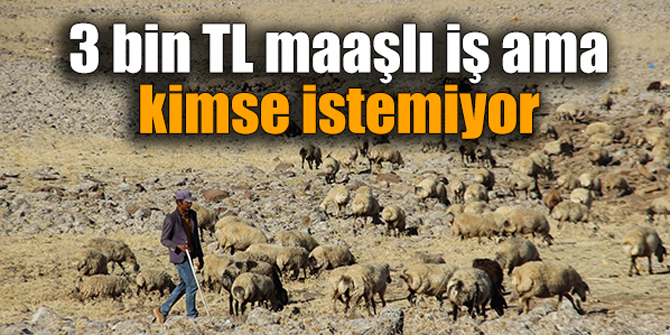 3 bin TL maaşlı iş ama kimse istemiyor