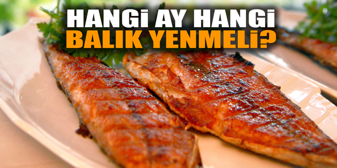 HANGİ AY HANGİ BALIK YENMELİ?