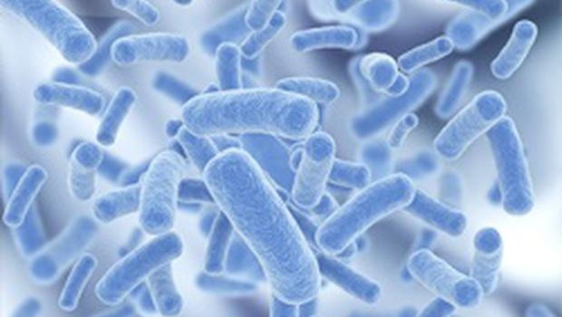 Vücudunuzda şu an 10 bin bakteri var