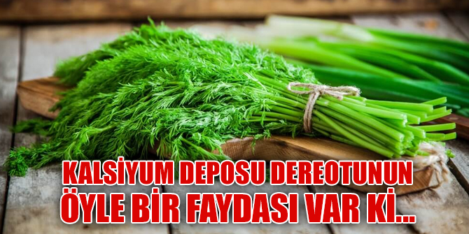 Dereotu osteropozdan koruyor