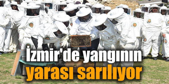 İzmir'de yangının yarası sarılıyor