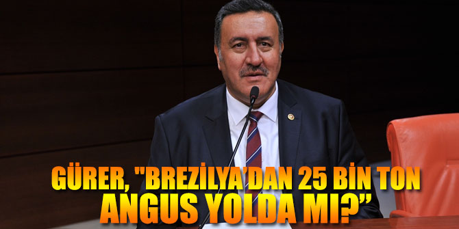 CHP'li Gürer, ithal et olayına dikkat  çekti