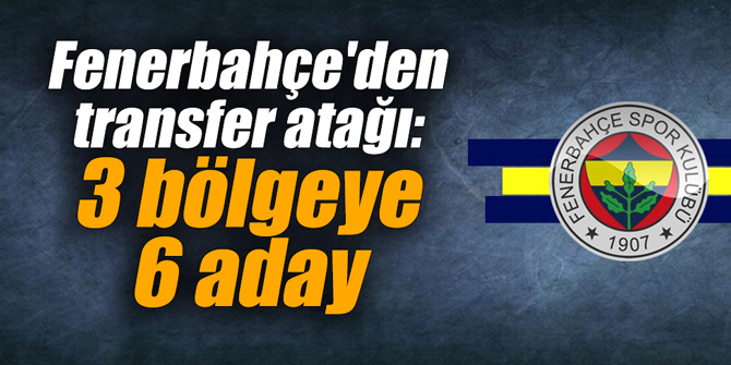 Fenerbahçe'den transfer atağı: 3 bölgeye 6 aday