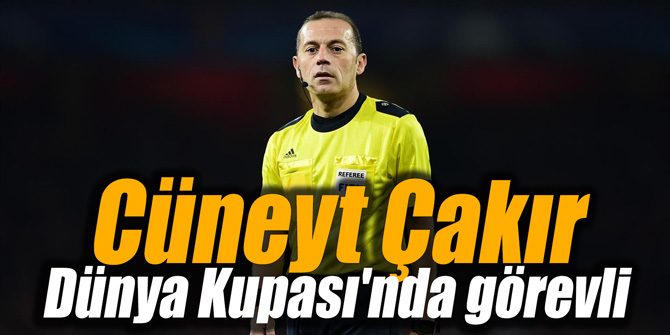 Cüneyt Çakır, Dünya Kupası'nda görevli