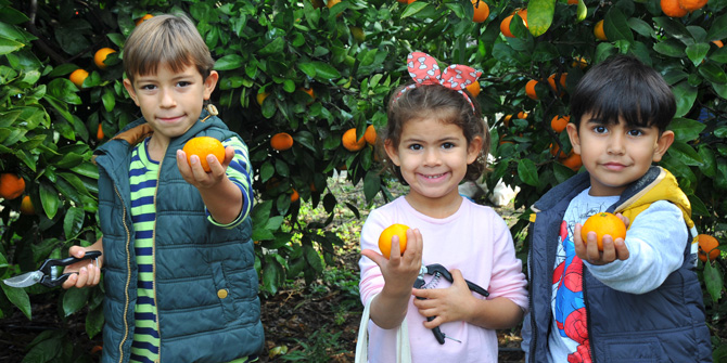Mandalina Şenliği'nde ilk hasat "Çocuk Belediyesi"nden