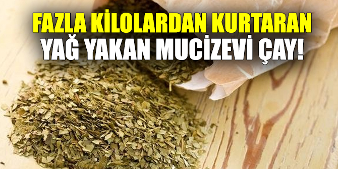 İşte yağ yakan 7 mucizevi bitkisel çay